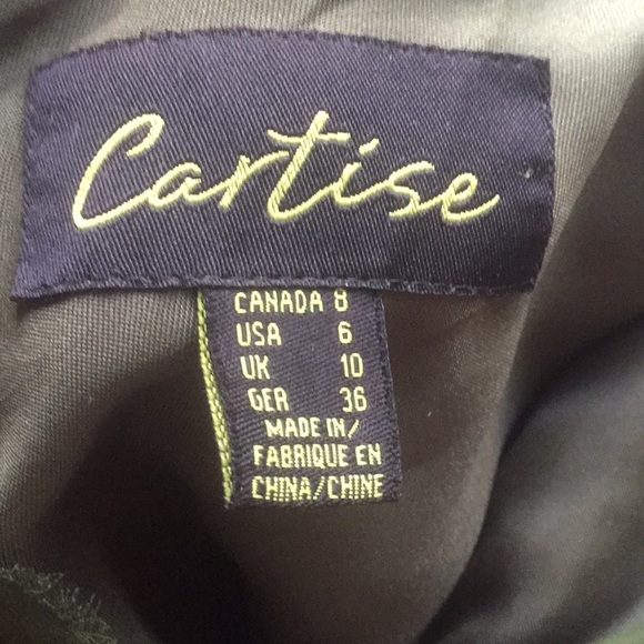 Vintage Velvet Party Dress - Picture 4 of 5